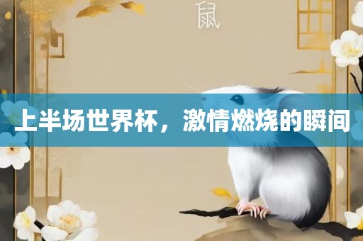 上半场世界杯，激情燃烧的瞬间