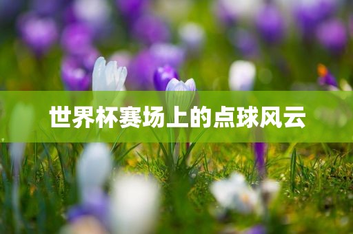 世界杯赛场上的点球风云
