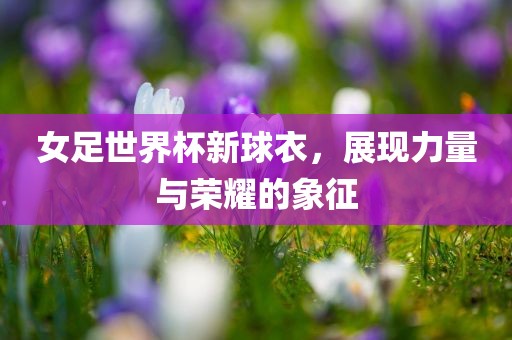 女足世界杯新球衣，展现力量与荣耀的象征