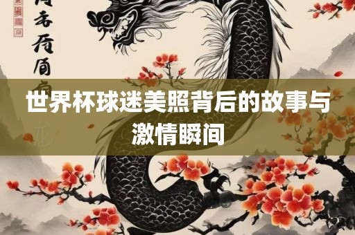 世界杯球迷美照背后的故事与激情瞬间