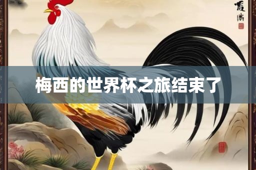 梅西的世界杯之旅结束了