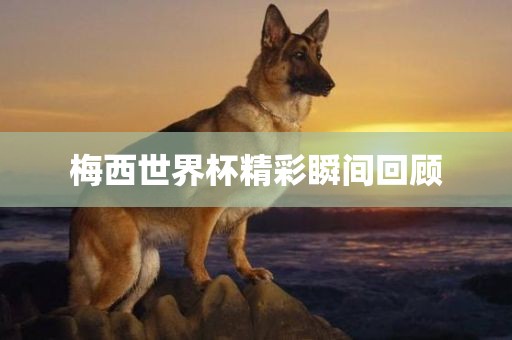 梅西世界杯精彩瞬间回顾