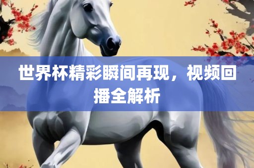 世界杯精彩瞬间再现，视频回播全解析
