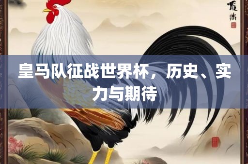 皇马队征战世界杯，历史、实力与期待