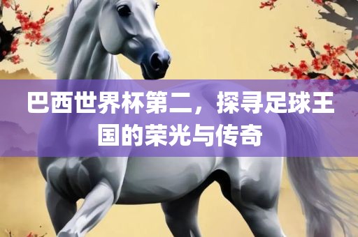 巴西世界杯第二，探寻足球王国的荣光与传奇