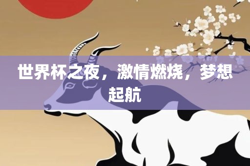 世界杯之夜，激情燃烧，梦想起航
