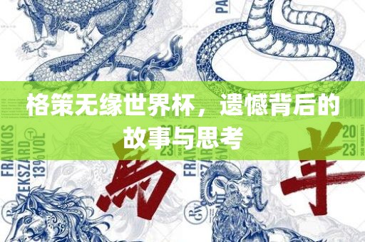 格策无缘世界杯，遗憾背后的故事与思考