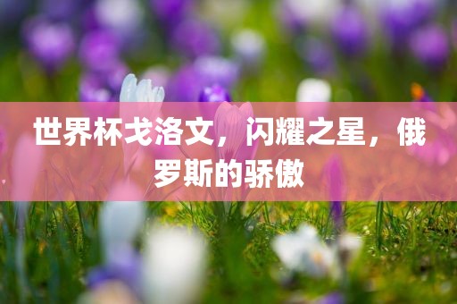世界杯戈洛文，闪耀之星，俄罗斯的骄傲