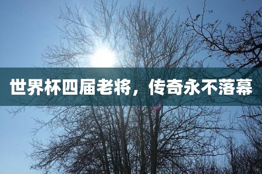 世界杯四届老将，传奇永不落幕