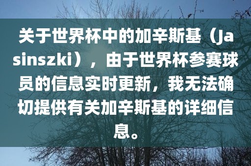 关于世界杯中的加辛斯基（Jasinszki），由于世界杯参赛球员的信息实时更新，我无法确切提供有关加辛斯基的详细信息。
