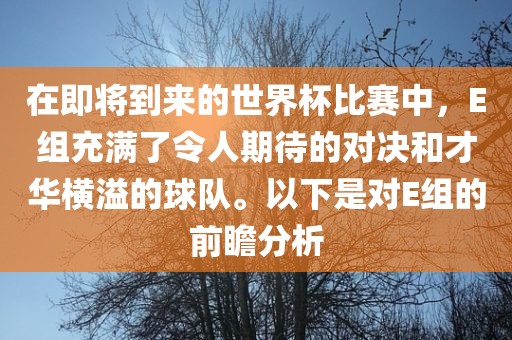 在即将到来的世界杯比赛中，E组充满了令人期待的对决和才华横溢的球队。以下是对E组的前瞻分析