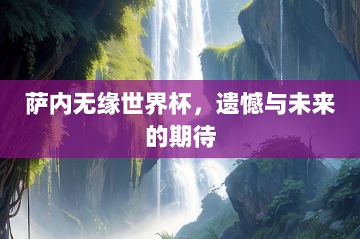 萨内无缘世界杯，遗憾与未来的期待广州鸿业环保设备有限公司