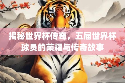 揭秘世界杯传奇，五届世界杯球员的荣耀与传奇故事
