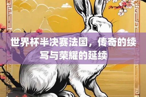 世界杯半决赛法国，传奇的续写与荣耀的延续广州鸿业环保设备有限公司