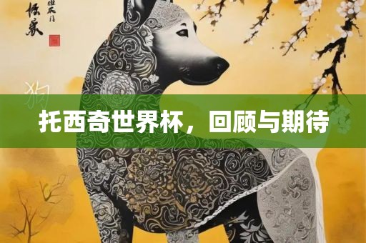 托西奇世界杯，广州鸿业环保设备有限公司回顾与期待