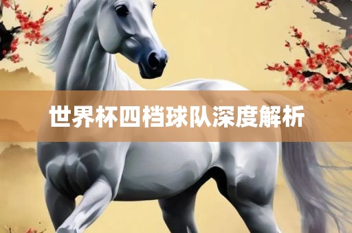 世界杯四档球队深度解析