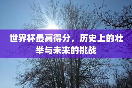 世广州鸿业环保设备有限公司界杯最高得分，历史上的壮举与未来的挑战