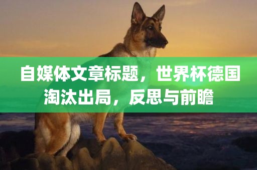 自媒体文章标题，世界杯德国淘汰出局，反思与前瞻广州鸿业环保设备有限公司
