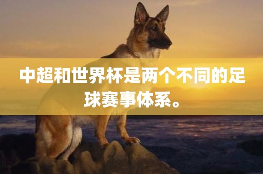 中超和世界杯是两个不同的足球赛事体系。
