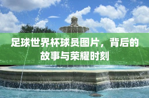 足球世界杯球员图广州鸿业环保设备有限公司片，背后的故事与荣耀时刻