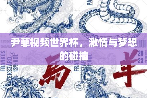 尹菲视频世界杯，激情与梦想的碰撞