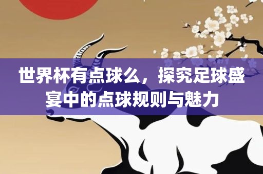 世界杯有点球么，探究足球盛宴中的点球规则与魅力