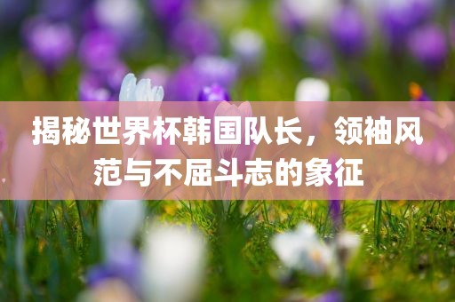 揭秘世界杯韩国队长，领袖风范与不屈斗志的象征广州鸿业环保设备有限公司
