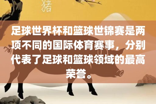 足球世界杯和篮球世锦赛是两项不同的国际体育赛事，分别代表了足球和篮球领域的最高荣誉。