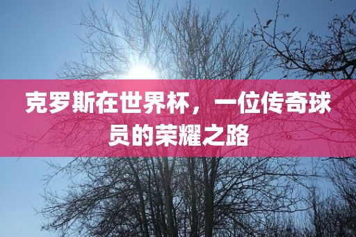 克罗斯在世界杯，一位传奇球员的荣耀之路