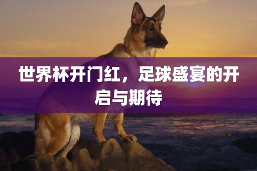 世界杯开门红，足球盛宴的开启与期待