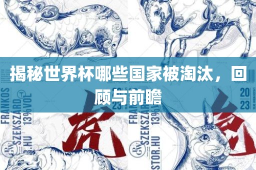 揭秘世界杯哪些国家被淘汰，回顾与前瞻