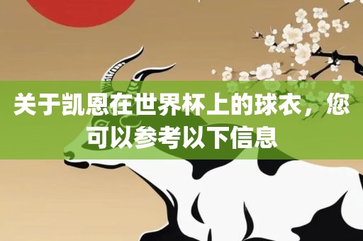 关于凯恩在世界杯上的球衣，您可以参考以下信息