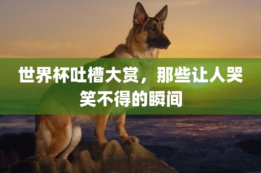 世界杯吐槽大赏，那些让人哭笑不得的瞬间广州鸿业环保设备有限公司