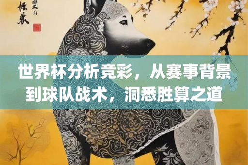世界杯分析竞彩，从赛事背景到球队战术，洞悉胜算之道