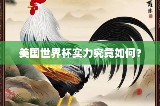 美国世界杯实力究竟如何？