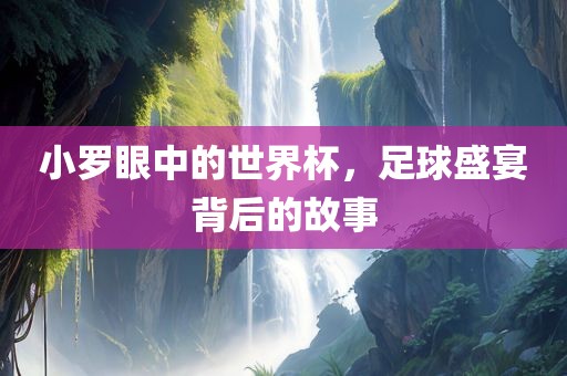 小罗眼中的世界杯，足球盛宴背后的故事