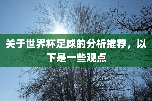 关于世界杯足球的分析推荐，以下是一些观点