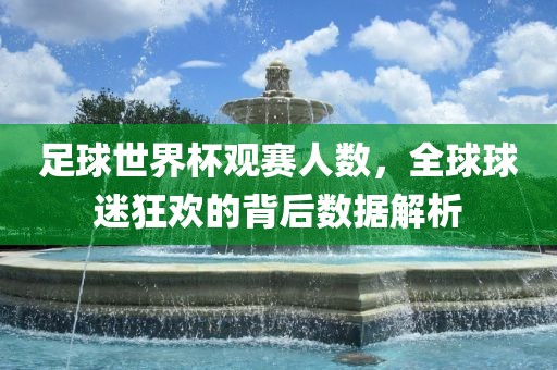 足球世界杯观赛人数，全球球迷狂欢的背后数据解析