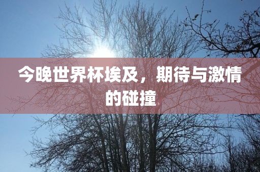 今晚世界杯埃及，期待与激情的碰撞广州鸿业环保设备有限公司