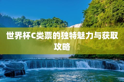 世界杯C类广州鸿业环保设备有限公司票的独特魅力与获取攻略