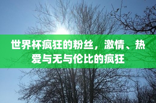 世界杯疯狂的粉丝，激情、热爱与无与伦比的疯狂广州鸿业环保设备有限公司