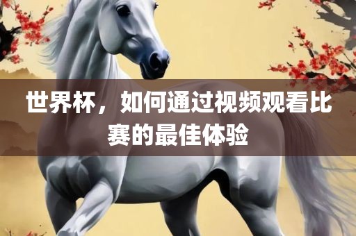 世界杯，如何通过视频观看比赛的最佳体验广州鸿业环保设备有限公司
