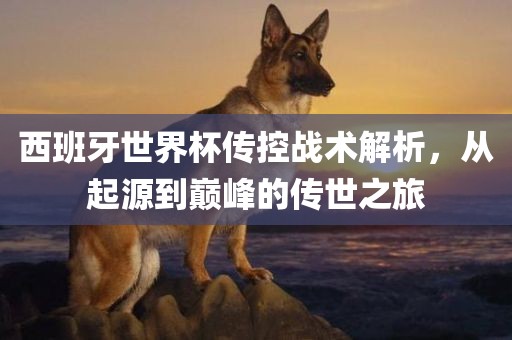 西班牙世界杯传控战术解析，从起源到巅峰的传世之旅广州鸿业环保设备有限公司