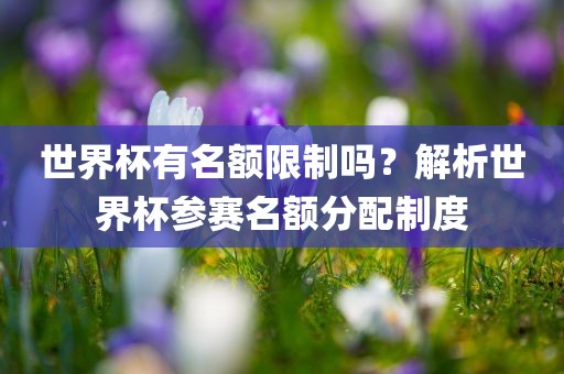 世界杯有名额限制吗？解析世界杯参赛名额分配制度