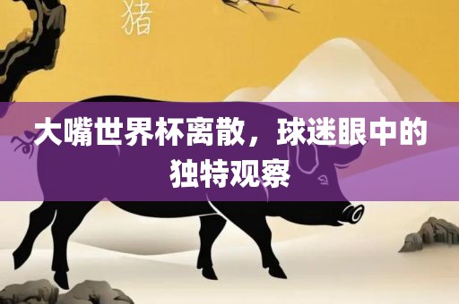 大嘴世界杯离散，球迷眼中的独特观察