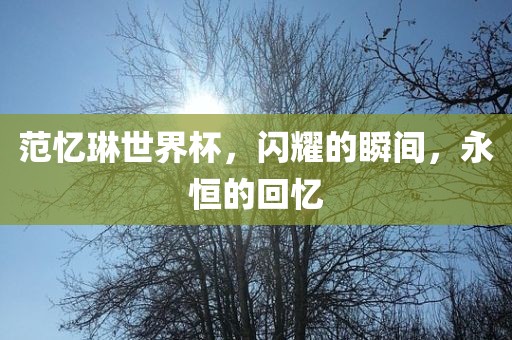 范忆琳世界杯，闪耀的瞬间，永恒的回忆