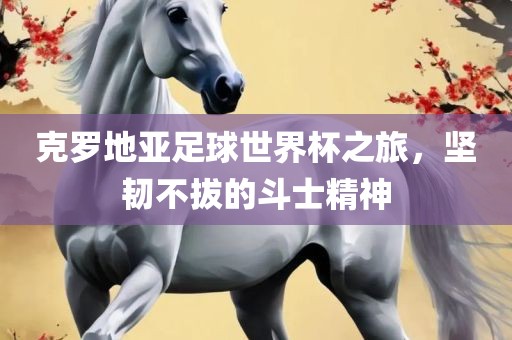 克罗地亚足球世界杯之旅，坚韧不拔的斗士精神广州鸿业环保设备有限公司