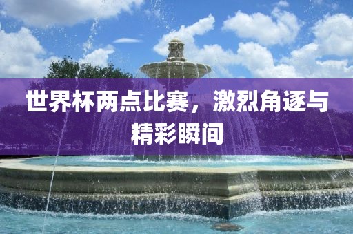 世界杯两点比赛，激烈角逐与精彩瞬广州鸿业环保设备有限公司间