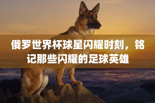 俄罗世界杯球星闪耀时刻，铭记那些闪耀的足球英雄广州鸿业环保设备有限公司