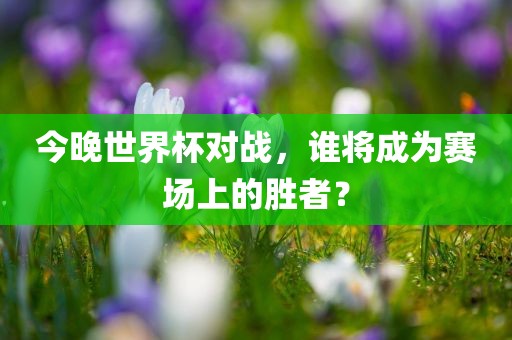 今晚世界杯对战，谁将成为赛场上的胜者？